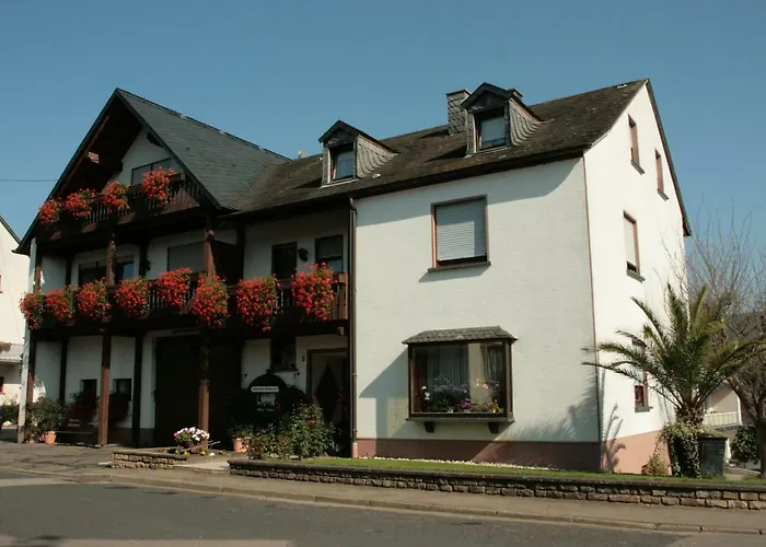 Maison d'hôtes Weingut***pension Guenther Scholtes Leiwen